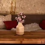 Hotel Sato Cave 2*